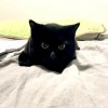ふみお
