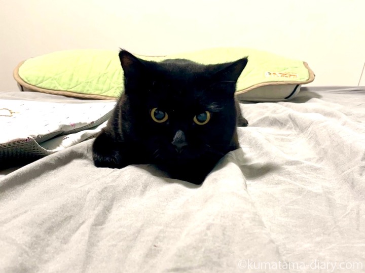 ふみお
