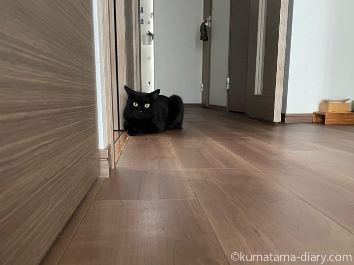 ふみお