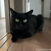 ふみお