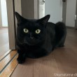 ふみお