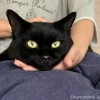 ふみお