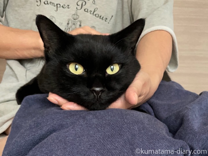 ふみお