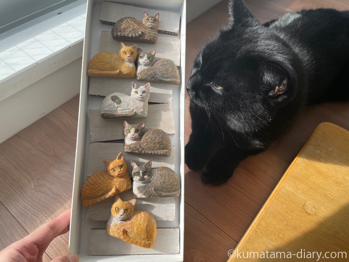 木彫りボタンとふみお