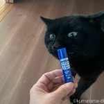 リップクリームと猫