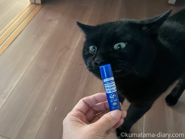 リップとふみお