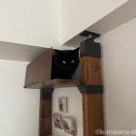 キャットウォークに板を取り付けました