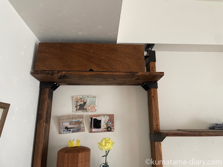 キャットウォーク