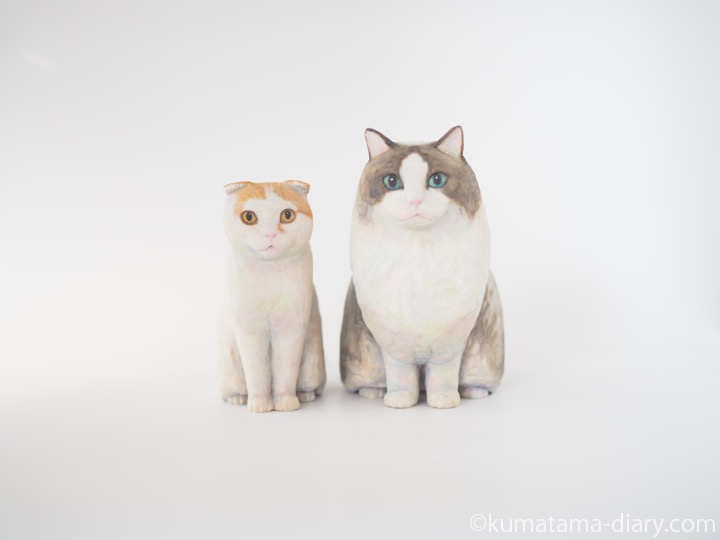 ラグドールさんとスコティッシュさん