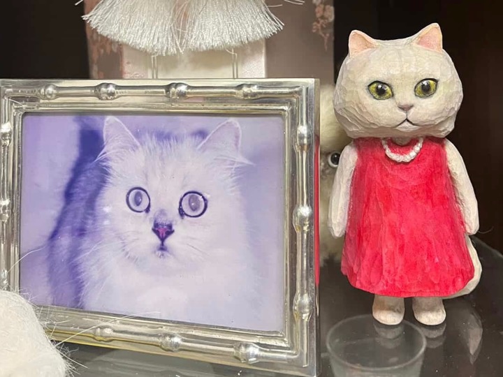 チンチラさん木彫り猫