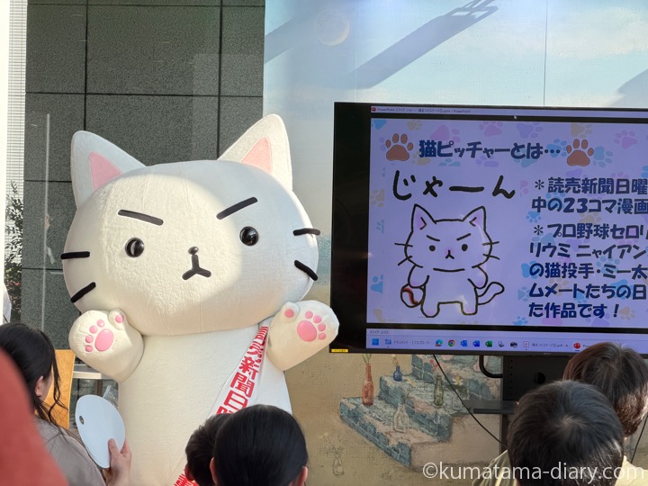 猫ピッチャーのミー太郎、