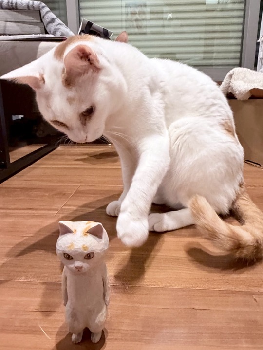 ナッツくんと木彫り猫